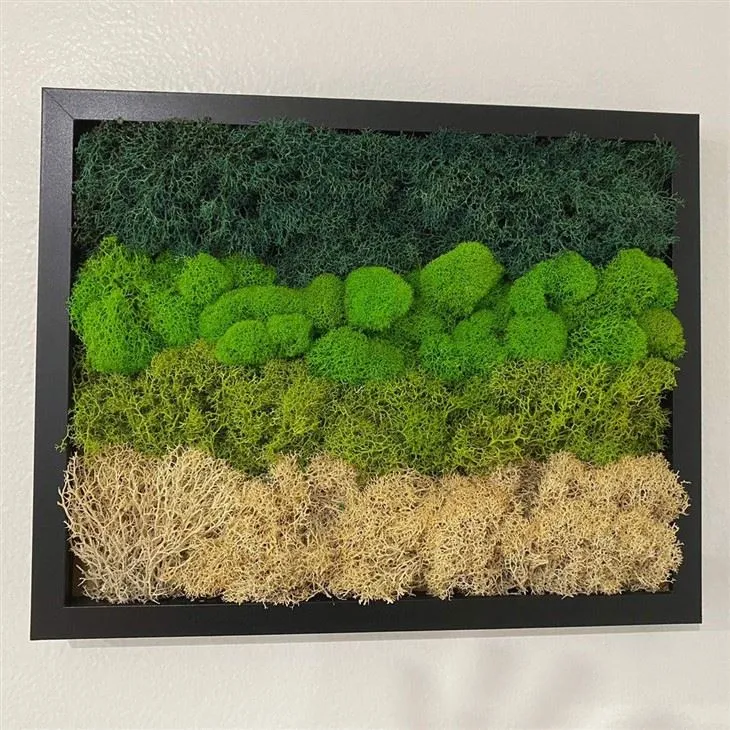 Preserved Moss Wall